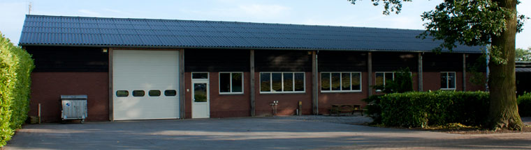 Aardbei Culturen Van de Werf